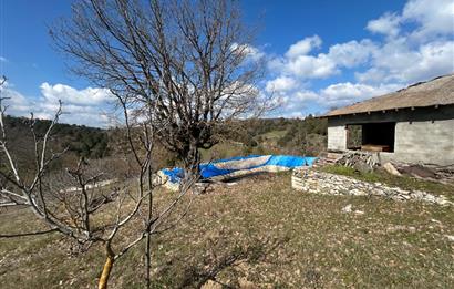 C21 BAL'DAN DURSUNBEY/KARAPINAR MAHALLESİ SATILIK CEVİZLİK