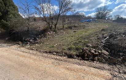 C21 BAL'DAN DURSUNBEY/KARAPINAR MAHALLESİ SATILIK CEVİZLİK