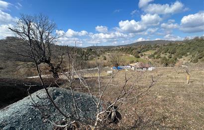 C21 BAL'DAN DURSUNBEY/KARAPINAR MAHALLESİ SATILIK CEVİZLİK