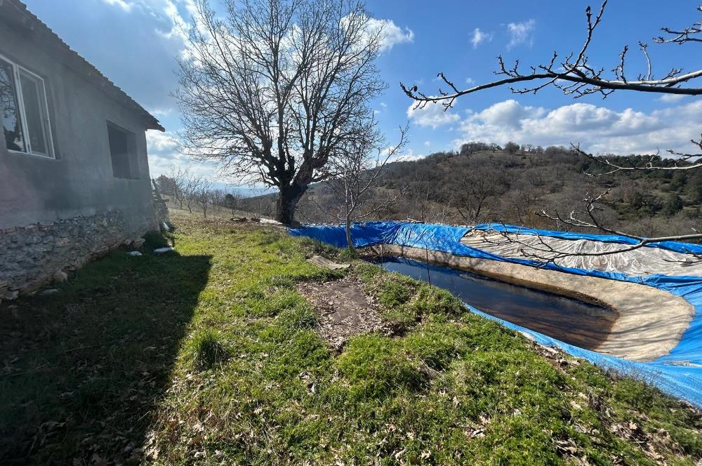 C21 BAL'DAN DURSUNBEY/KARAPINAR MAHALLESİ SATILIK CEVİZLİK