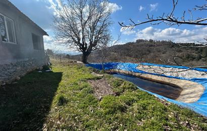 C21 BAL'DAN DURSUNBEY/KARAPINAR MAHALLESİ SATILIK CEVİZLİK