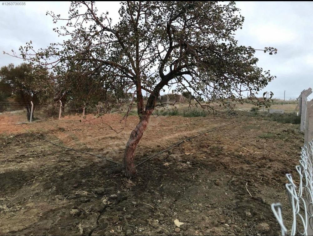 ÇANAKKALE DENİZE YAKIN MÜSTAKİL TAPULU 