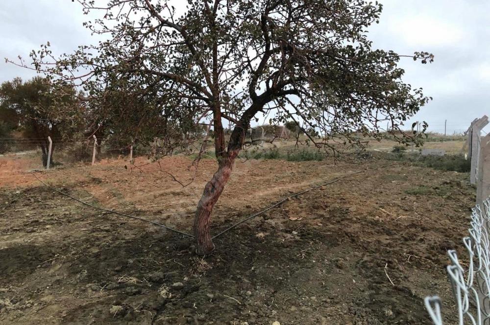 ÇANAKKALE DENİZE YAKIN MÜSTAKİL TAPULU 