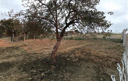 ÇANAKKALE DENİZE YAKIN MÜSTAKİL TAPULU 