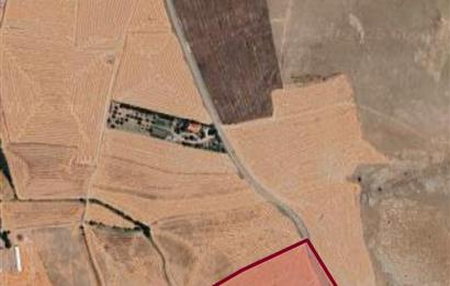 SUBAŞINDA YATIRIMLIK TARLA