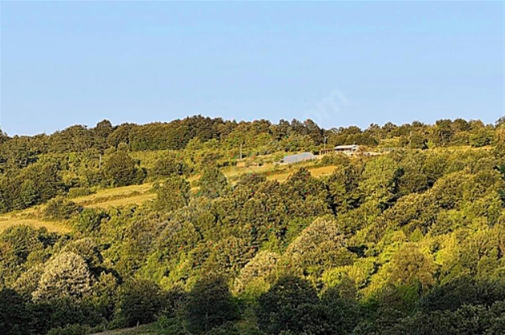 KOCAELİ İZMİT ZEYTİNBURNU 10.902 M2 SATILIK TARLA