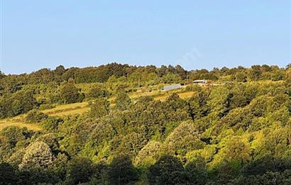 KOCAELİ İZMİT ZEYTİNBURNU 10.902 M2 SATILIK TARLA