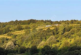 KOCAELİ İZMİT ZEYTİNBURNU 10.902 M2 SATILIK TARLA - 1 - 33061