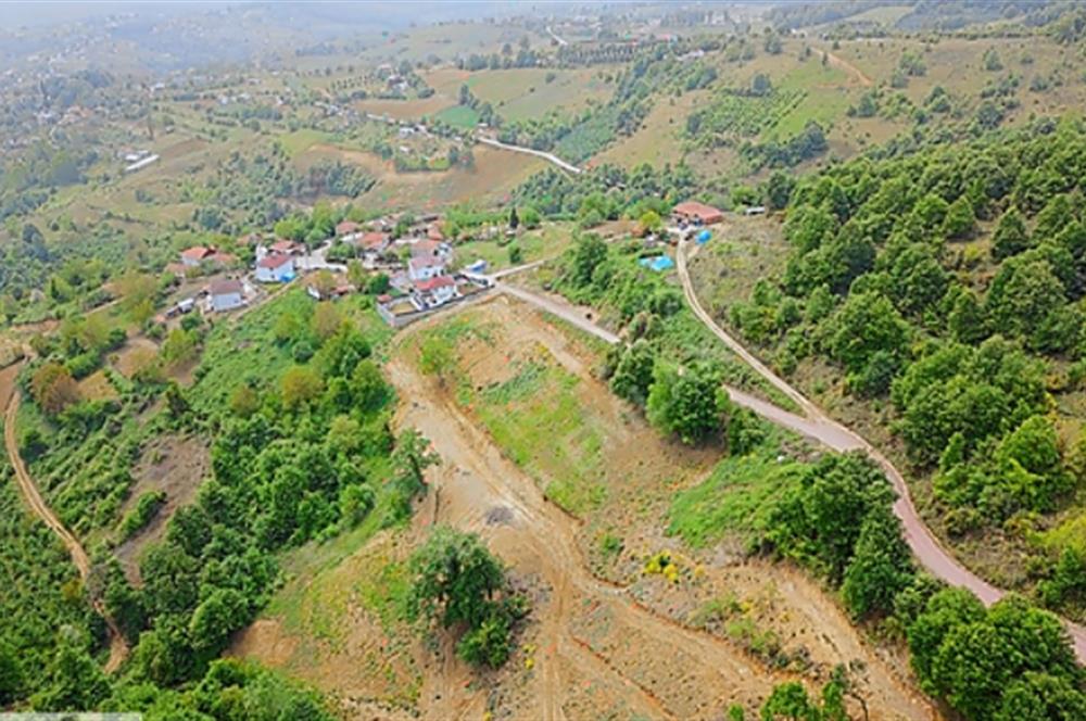 KOCAELİ İZMİT ZEYTİNBURNU 10.902 M2 SATILIK TARLA