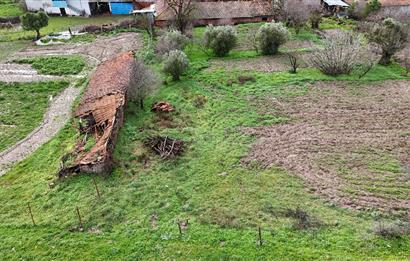 C21 WİNNER KEPSUT NUSRET 513m² SATILIK ARSA