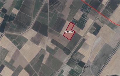 C21 LOFT'tan Sulama Kanalı Kenarında 10 Dönüme Yakın Tarım Arazi