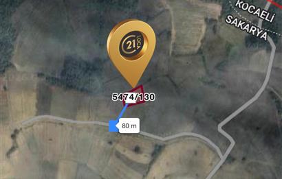 C21 LOCA'DAN SAKARYA'DA YATIRIMLIK TARLA