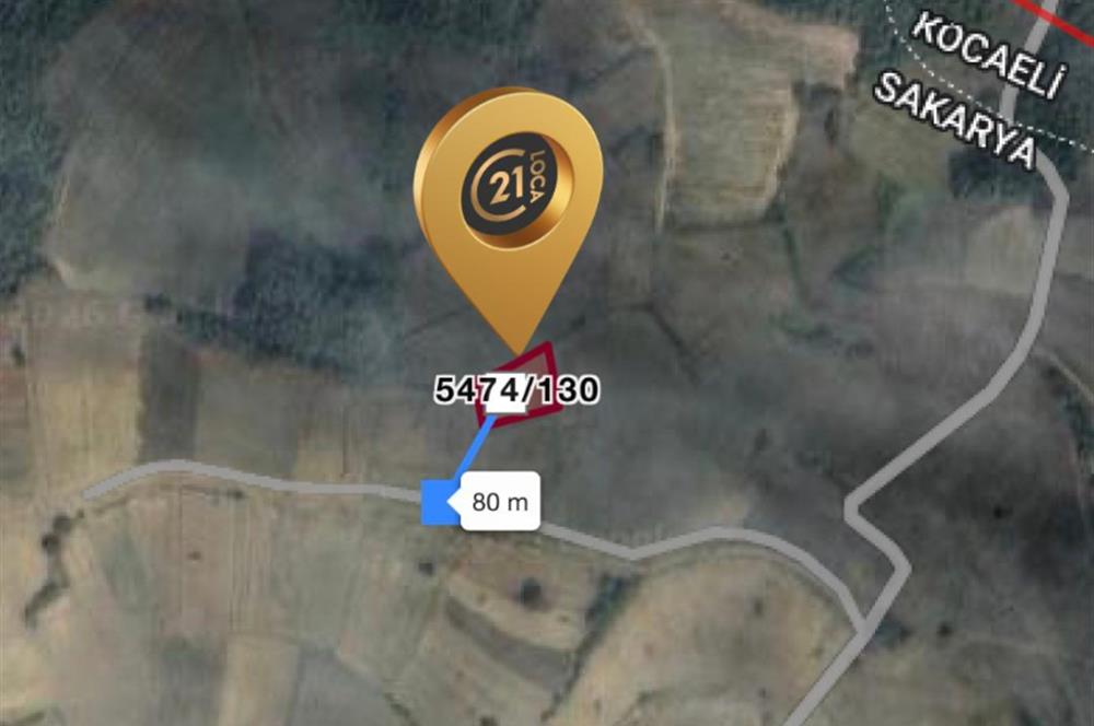 C21 LOCA'DAN SAKARYA'DA YATIRIMLIK TARLA