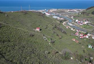 CENTURY21'DEN GÜLYALI TURNASUYU MAH. SATILIK FINDIK BAHÇESİ - 3 - 33066