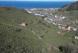 CENTURY'DEN GÜLYALI TURNASUYU MAH. SATILIK FINDIK BAHÇESİ - 2 - 33067