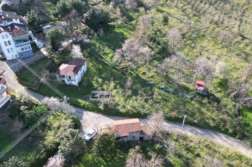 CENTURY21'DEN TURNASUYU MAH. SATILIK EV ARSA FINDIK BAHÇESİ