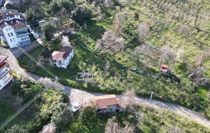 CENTURY21'DEN TURNASUYU MAH. SATILIK EV ARSA FINDIK BAHÇESİ