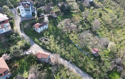 CENTURY21'DEN TURNASUYU MAH. SATILIK EV ARSA FINDIK BAHÇESİ