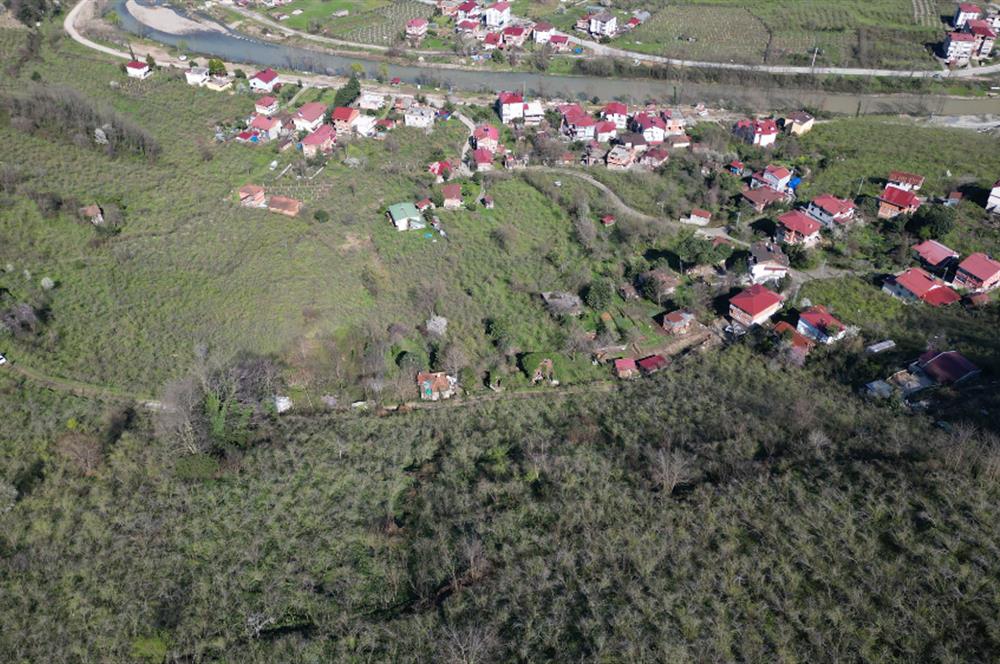 CENTURY21'DEN GÜLYALI TURNASUYU MAH. SATILIK FINDIK BAHÇESİ