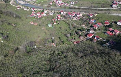 CENTURY21'DEN GÜLYALI TURNASUYU MAH. SATILIK FINDIK BAHÇESİ