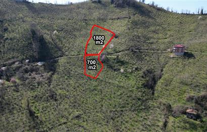 CENTURY21'DEN GÜLYALI TURNASUYU MAH. SATILIK FINDIK BAHÇESİ