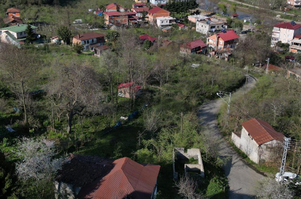 CENTURY21'DEN TURNASUYU MAH. SATILIK EV ARSA FINDIK BAHÇESİ