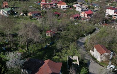 CENTURY21'DEN TURNASUYU MAH. SATILIK EV ARSA FINDIK BAHÇESİ