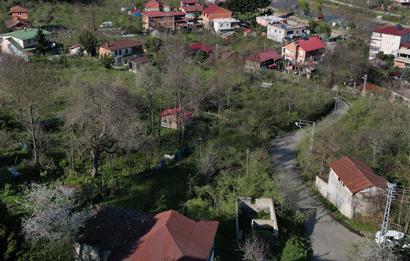 CENTURY21'DEN TURNASUYU MAH. SATILIK EV ARSA FINDIK BAHÇESİ