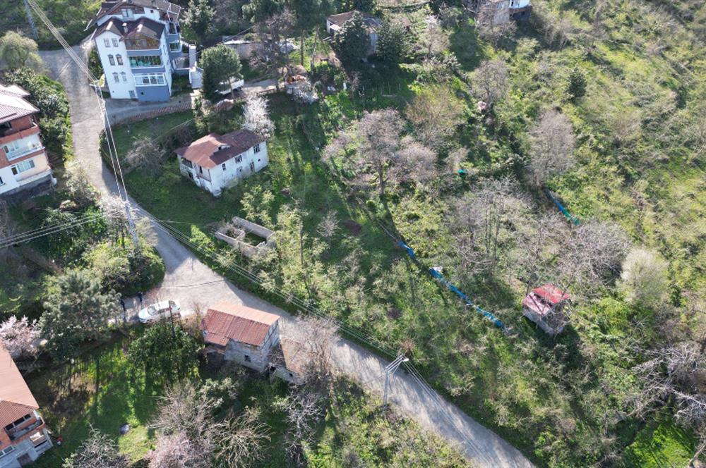 CENTURY21'DEN TURNASUYU MAH. SATILIK EV ARSA FINDIK BAHÇESİ