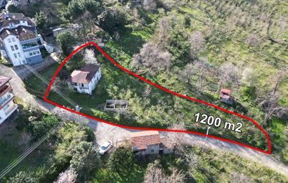 CENTURY21'DEN TURNASUYU MAH. SATILIK EV ARSA FINDIK BAHÇESİ