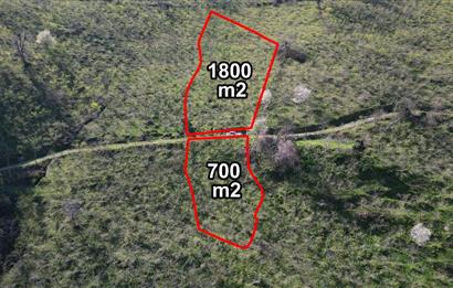 CENTURY'DEN GÜLYALI TURNASUYU MAH. SATILIK FINDIK BAHÇESİ