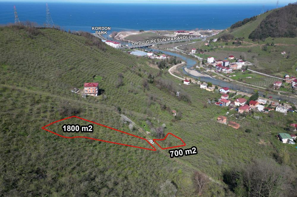 CENTURY'DEN GÜLYALI TURNASUYU MAH. SATILIK FINDIK BAHÇESİ