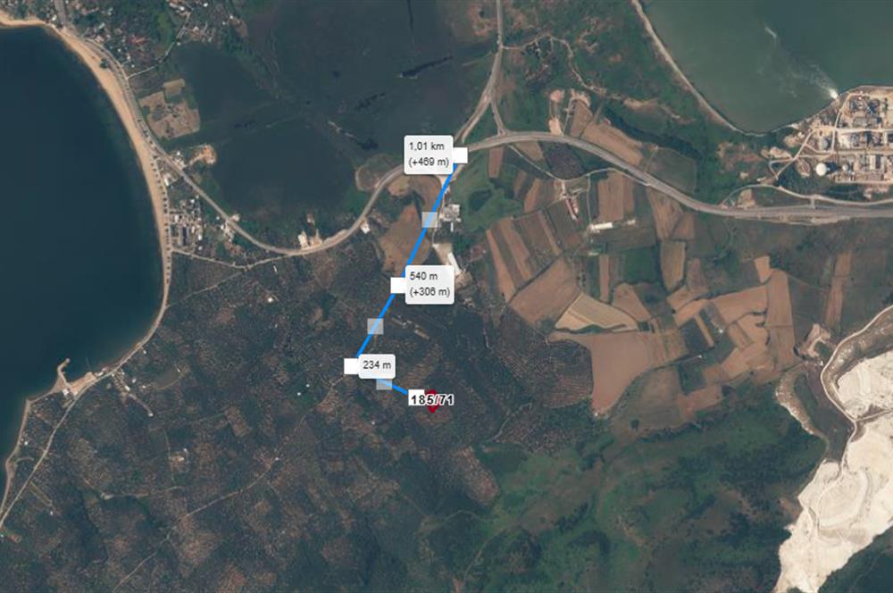 Century 21 Bal'dan Bandırma Edincik Mahallesinde Satılık Zeytinlik