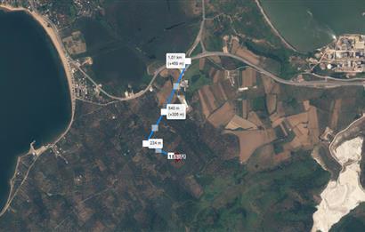 Century 21 Bal'dan Bandırma Edincik Mahallesinde Satılık Zeytinlik