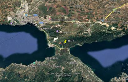 Century 21 Bal'dan Bandırma Edincik Mahallesinde Satılık Zeytinlik