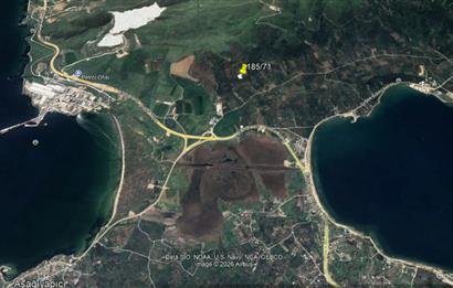 Century 21 Bal'dan Bandırma Edincik Mahallesinde Satılık Zeytinlik