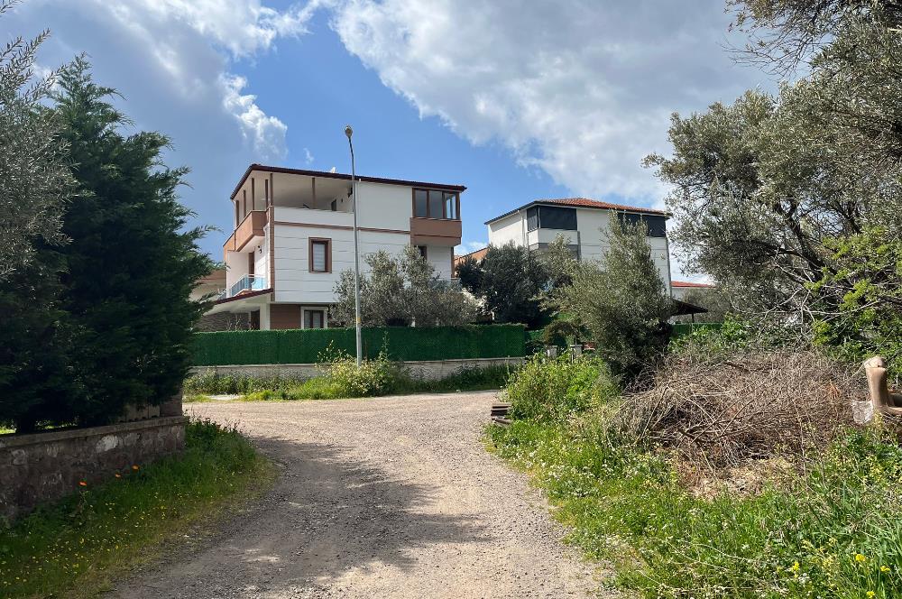 C21 Bal'dan Balıkesir Ayvalık Küçükköy’de Satılık Zeytinlik