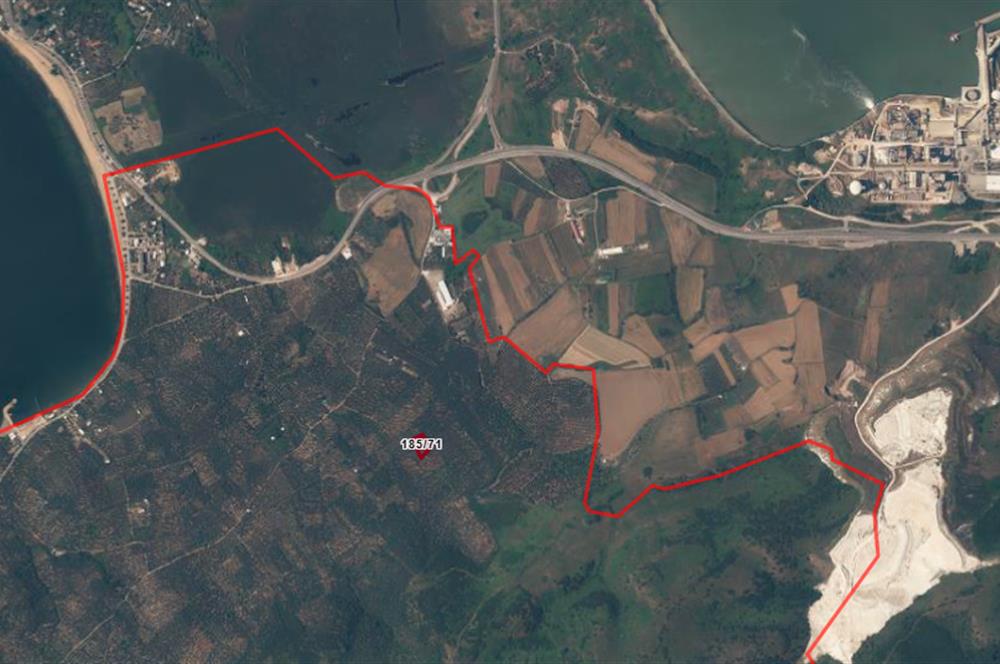 Century 21 Bal'dan Bandırma Edincik Mahallesinde Satılık Zeytinlik