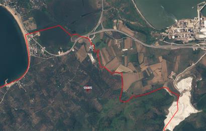 Century 21 Bal'dan Bandırma Edincik Mahallesinde Satılık Zeytinlik