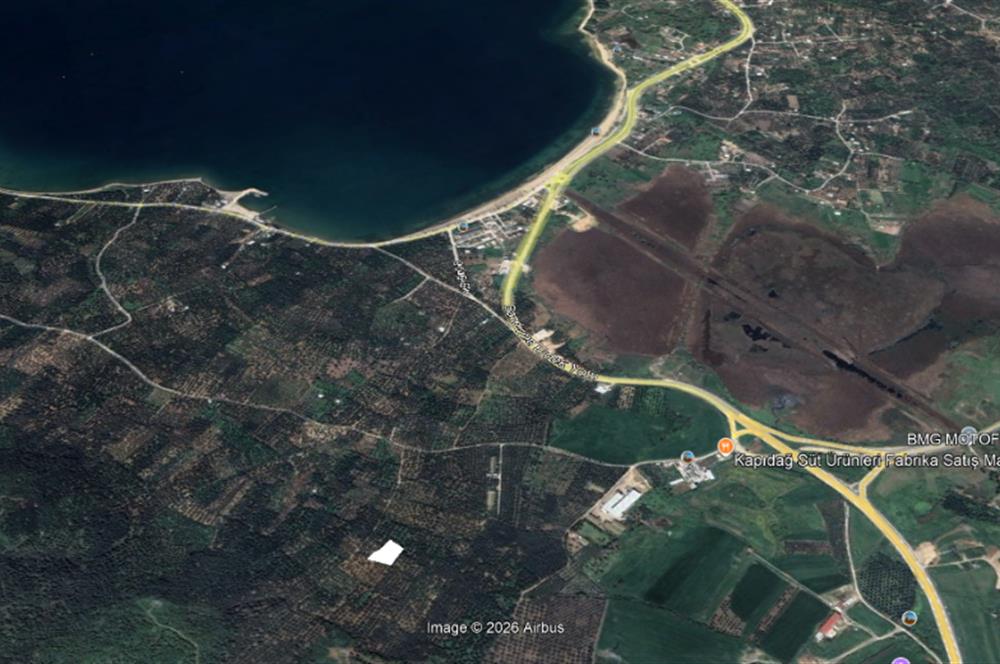 Century 21 Bal'dan Bandırma Edincik Mahallesinde Satılık Zeytinlik