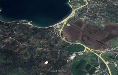 Century 21 Bal'dan Bandırma Edincik Mahallesinde Satılık Zeytinlik