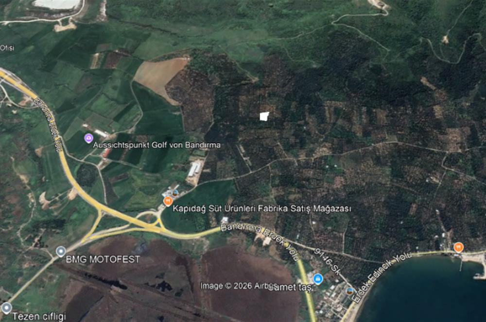 Century 21 Bal'dan Bandırma Edincik Mahallesinde Satılık Zeytinlik