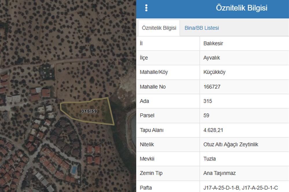C21 Bal'dan Balıkesir Ayvalık Küçükköy’de Satılık Zeytinlik