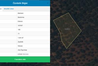 Century 21 Bal'dan Bandırma Edincik Mahallesinde Satılık Zeytinlik - 2 - 33106