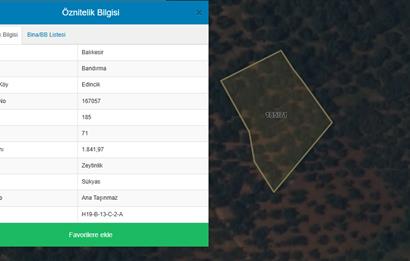 Century 21 Bal'dan Bandırma Edincik Mahallesinde Satılık Zeytinlik