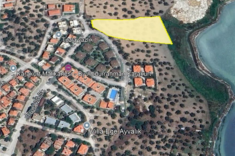 C21 Bal'dan Balıkesir Ayvalık Küçükköy’de Satılık Zeytinlik