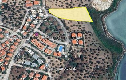 C21 Bal'dan Balıkesir Ayvalık Küçükköy’de Satılık Zeytinlik