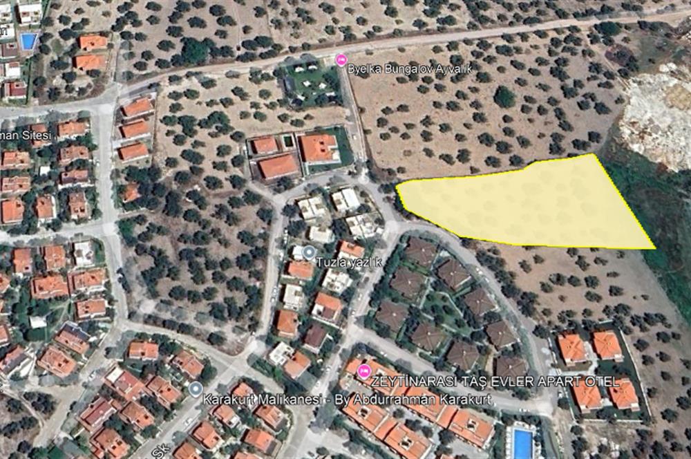 C21 Bal'dan Balıkesir Ayvalık Küçükköy’de Satılık Zeytinlik