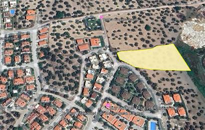 C21 Bal'dan Balıkesir Ayvalık Küçükköy’de Satılık Zeytinlik