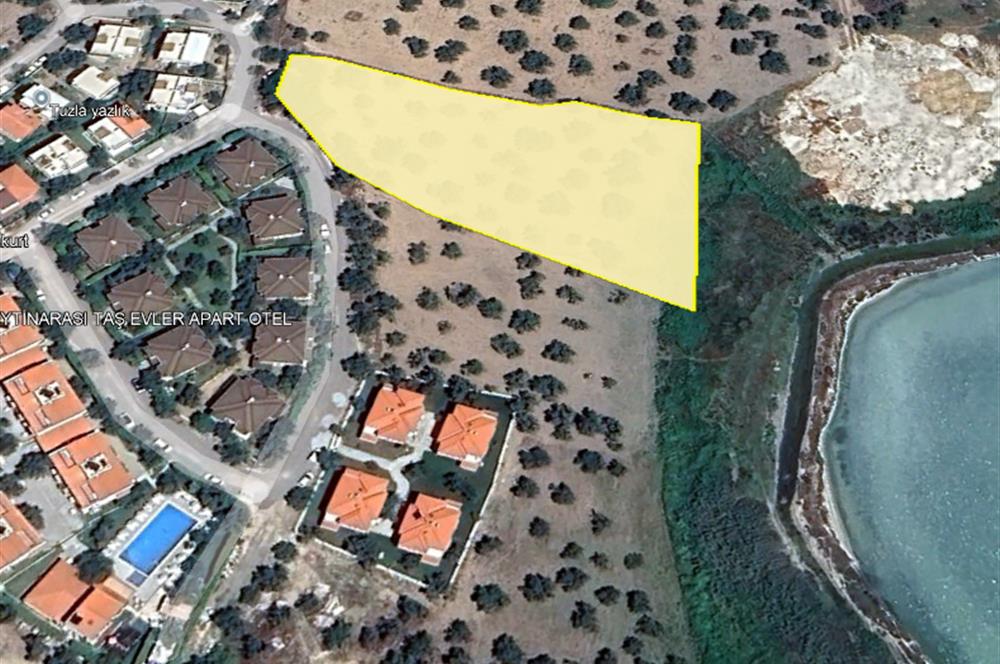 C21 Bal'dan Balıkesir Ayvalık Küçükköy’de Satılık Zeytinlik